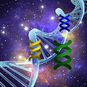 DNA Shamanic Session