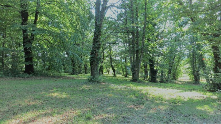 Surrounded by green forests in the relaxing environment of the Holistic Academy